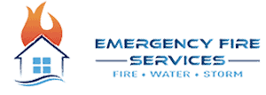 EFS Restore Logo